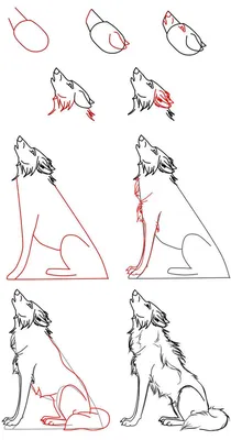 Как нарисовать волка поэтапно карандашом (52 фото) - легкие мастер-классы  по рисованию волка
