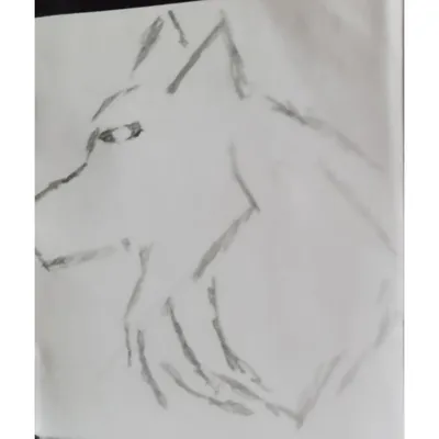 Для срисовки волки #63