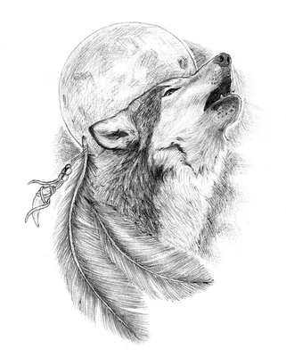 Волк арт рисунок - 54 фото