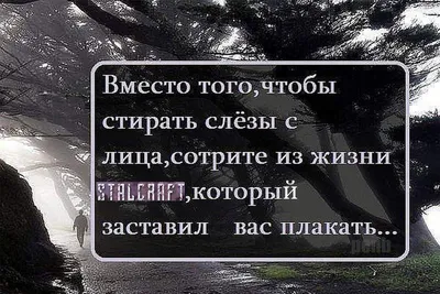 Статусы Со смыслом сделал(-а) публикацию в Instagram: “Поддержите нас  лайком ❤️❤️❤️ Подписывайтесь👇 @citativk @citativk @citativk #citativ… |  Мысли, Лето, Открытки