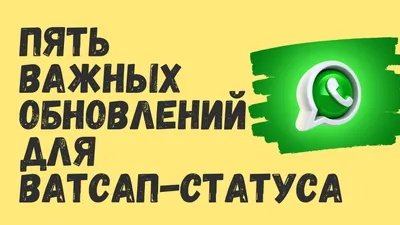 Что такое статус в Ватсап и как им пользоваться | 