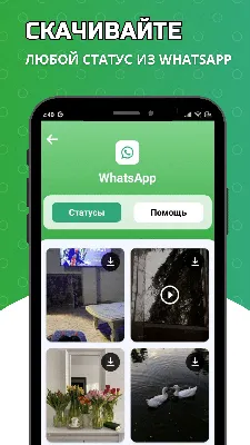 7 фишек WhatsApp: полезные и новые возможности | РБК Life