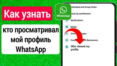 Лайфхак для профессионала: «Как использовать «Статус» в WhatsApp в виде  ненавязчивой рекламы»