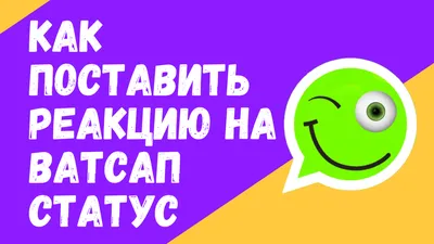 Статус в WhatsApp: что такое, как поставить/посмотреть, как удалить |  Postium