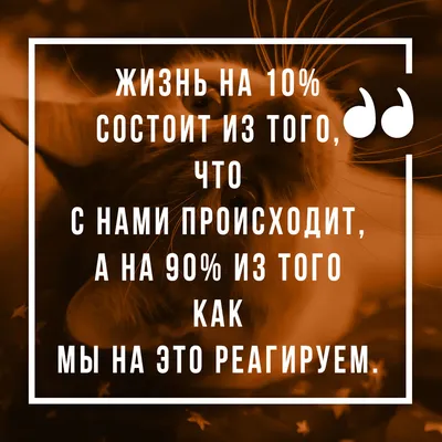 Прикольные статусы на все случаи жизни для социальных сетей: 50+ вариантов