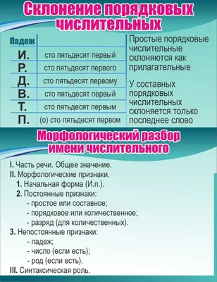 СТЕНДЫ по РУССКОМУ ЯЗЫКУ р-р 100*70 см, на пластике (ID#125802367), цена:  70 руб., купить на 