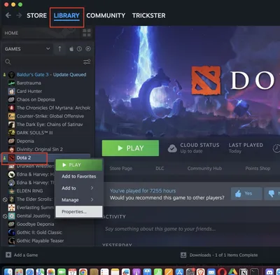 Lost connection to steam in Dotaclient while Steamclient is connected and  working · Issue #1478 · ValveSoftware/Dota-2 · GitHub