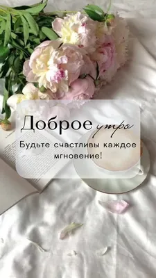 Оформление сторис. Зимние идеи и фоны для сторис Инстаграм | Paper  background design, Instagram frame template, Floral cards design