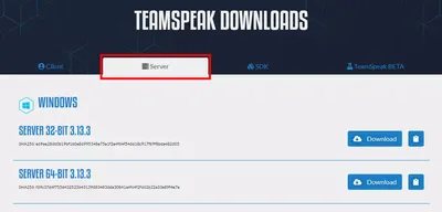 Use multiple Teamspeak 3 clients - GameplayInside