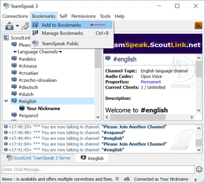 Installing a TeamSpeak server in Windows Server | TransIP