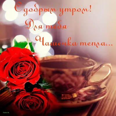 Доброе утро! Кофе для тебя! 🌹☕🌹 | Доброе утро, Смешные таблички,  Счастливые картинки