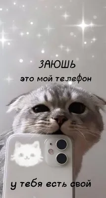 10/30/50 шт. забавные животные кошка MEME наклейки для детей мультфильм  наклейки DIY чехол для телефона ноутбук багаж Kawaii шутка наклейка оптом |  AliExpress