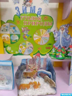Купить уголок природы для школы с доставкой по всей России