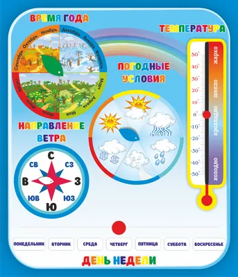 Оформление уголка природы (2 фото). Воспитателям детских садов, школьным  учителям и педагогам - Маам.ру