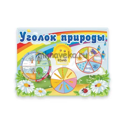 Уголок природы» (Чиполлино) купить в Нижнем Новгороде