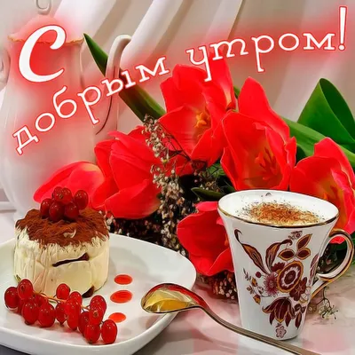 С добрым утром 💞🌹 Для заказа пишите в личные сообщения 📮 Телефон: ☎  8(8182) 457-456 📱Мы так же есть в whats app/viber… | Instagram