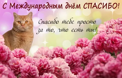 С добрым утром, любимая! Открытка GIF с ангелом!