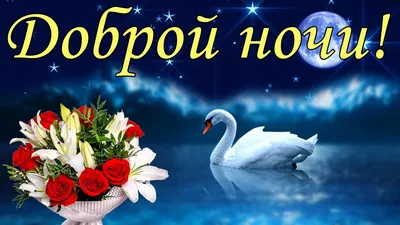 ДОБРОЙ НОЧИ – С Добрым Утром!