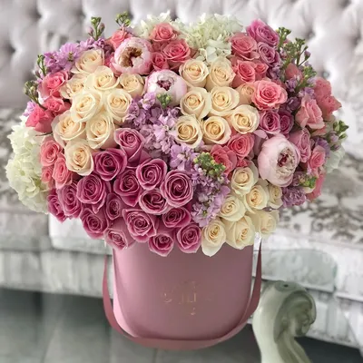 Красивые цветы на ватсап - 35 фото