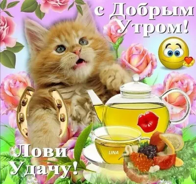 🌞Доброе утро! Хорошего дня!🌞Анимационная открытка для #WhatsApp - YouTube  | Открытки, Картинки, Доброе утро