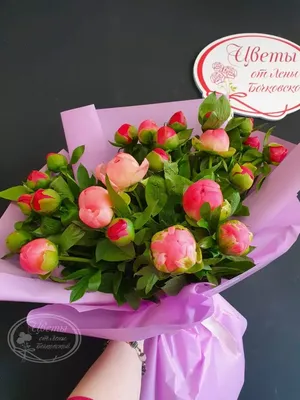 Купить Хлопок MULTI Цветы в интернет-магазине тканей RUNA TEX