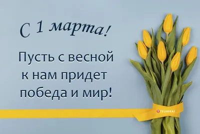 С первым днем весны – подборка картинок, открыток и пожеланий на 1 марта -  Телеграф