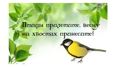 Начинаем звать весну 8 марта. Заклички Весны. | Эзотерика/Магия Рун | Дзен