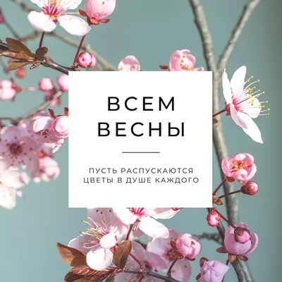 Первый день весны | Весна, Цитаты для поднятия настроения, Праздничные  цитаты