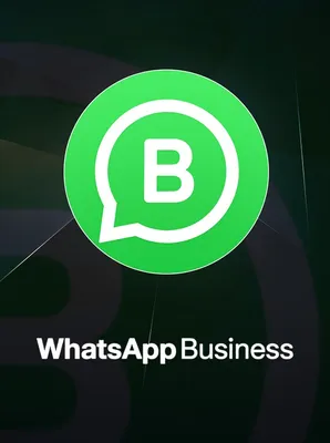 WhatsApp gets new Voice Chats feature: Here's how it works