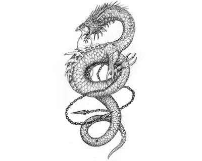 DragonsVectorClipArt (700x700, 74Kb) | Dragon silhouette, Dragon tattoo  designs, Dragon tattoo