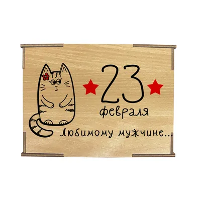 Коробка №4 "23 февраля с днём защитника отечества Кот с ракетой 2 ", бук