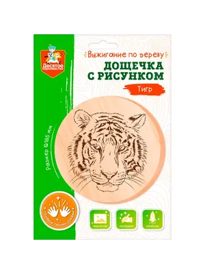 12-0929 REXANT Доски для выжигания «Для мальчиков», 150х150мм, набор 5 шт. ( тигр, самолет, машина, парусник, космос) пакет REXANT — купить в  интернет-магазине LEDPremium.