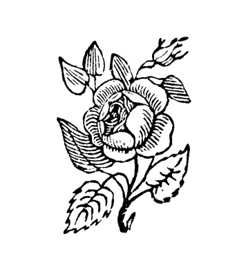 Шкатулка цветы колибри выжигание купить в интернет-магазине Ярмарка  Мастеров по цене 2400 ₽ – LWM7CBY | Шкатулки, Ярославль - доставка по России