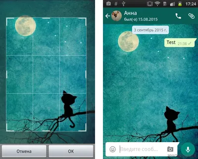 8 Android-приложений, которые пригодятся пользователям WhatsApp - Лайфхакер