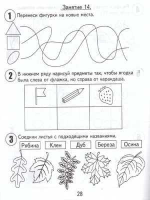 Школа маленьких гениев. Комплект для занятий с детьми от 3 до 4 лет  (комплект в футляре)