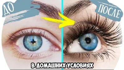 Pin by Kristina Renninger on Нарощенные реснички | Perfect eyelashes,  Natural fake eyelashes, Natural eyelash extensi… | Нарастить ресницы,  Большие ресницы, Ресницы