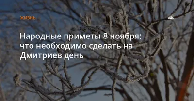 Какой сегодня праздник 8 ноября — Дмитриев день, открытки с Днем ангела  Дмитрия - Телеграф