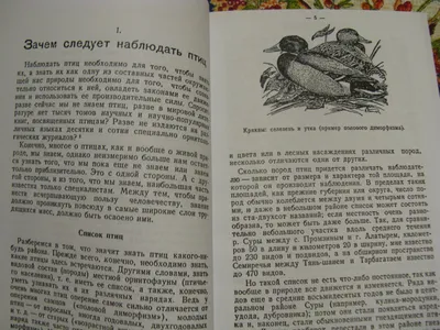 Лоуз Дж.: Дневник художника-натуралиста. Как рисовать животных, птиц,  растения и пейзажи