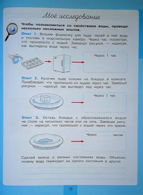 Птицы. Мои зимние наблюдения.