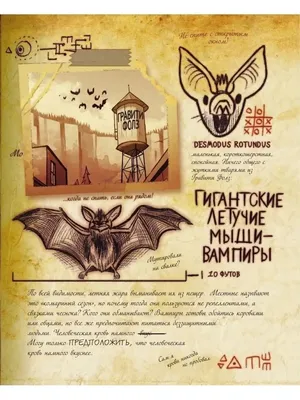 Страницы 3 дневника ( 3 часть ) | Гравити Фолз (RU) Amino