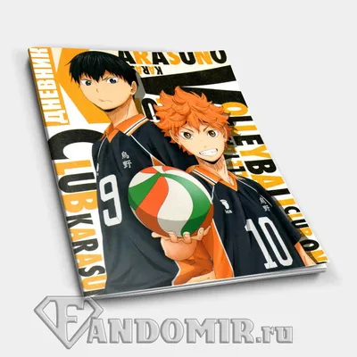 Школьный дневник HAIKYUU #1 купить в интернет-магазине FandoMir