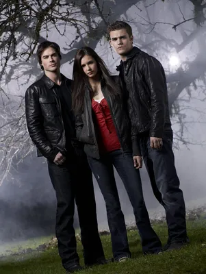 Фото Герои телесериала Дневники Вампира / The Vampire Diaries- Деймон и  Елена / Damon and Elena в окружении красных роз и черепов