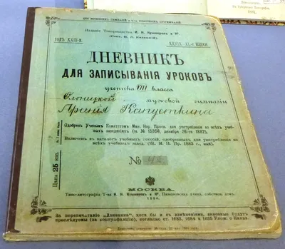 Дневник школьный для 5-11 класса, в твердой обложке, 48 листов, «Мечтай» .  - РусЭкспресс