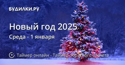 Полезные советы. До Нового года осталось 14 дней… | Дняпровец. Речица online