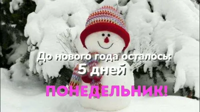 До Нового Года осталось 12 дней 14 часов 45 минут! | Пикабу