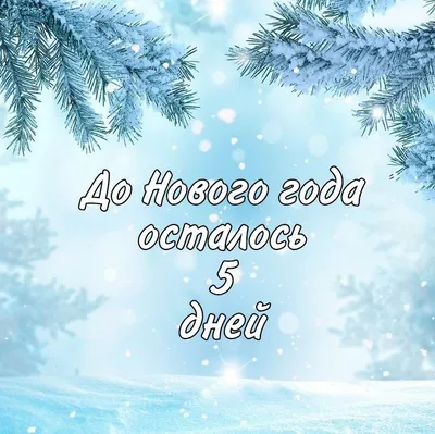 ДО НОВОГО ГОДА ОСТАЛОСЬ 5 ДНЕЙ! — МКУК СР «РЕСУРСНЫЙ ЦЕНТР КУЛЬТУРЫ»