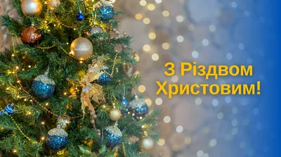 З Різдвом Христовим 2023, зі Святвечором: привітання, картинки, вірші,  своїми словами для близьких — Різне