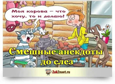 Анекдот, который убил меня наповал: смех до слез | Цитаты про смех, Мудрые  цитаты, Короткие смешные цитаты