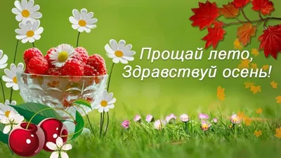 Детский сад № 145 г. Владивостока. "До свидание, лето! Здравствуй золотая  осень!"