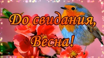 С Добрым Утром!Заходите на чай! :) — Фото |  | Цветы, Открытки,  Праздник